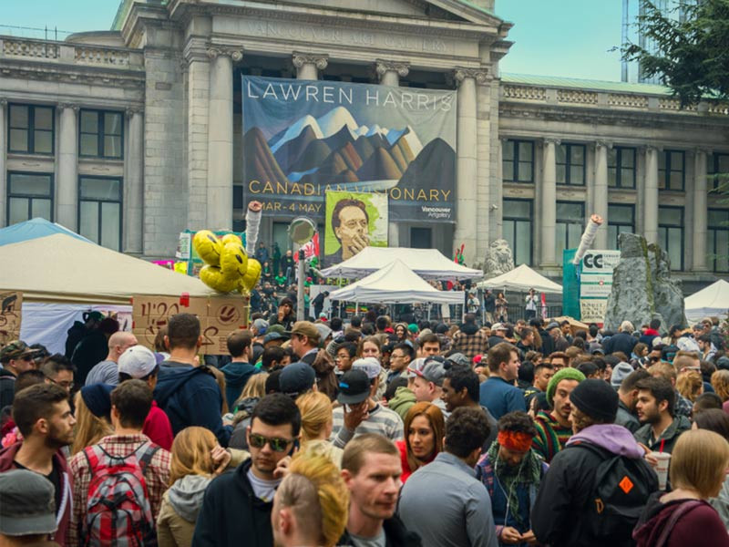 О концентрате конопли Страна с легалайзом травы