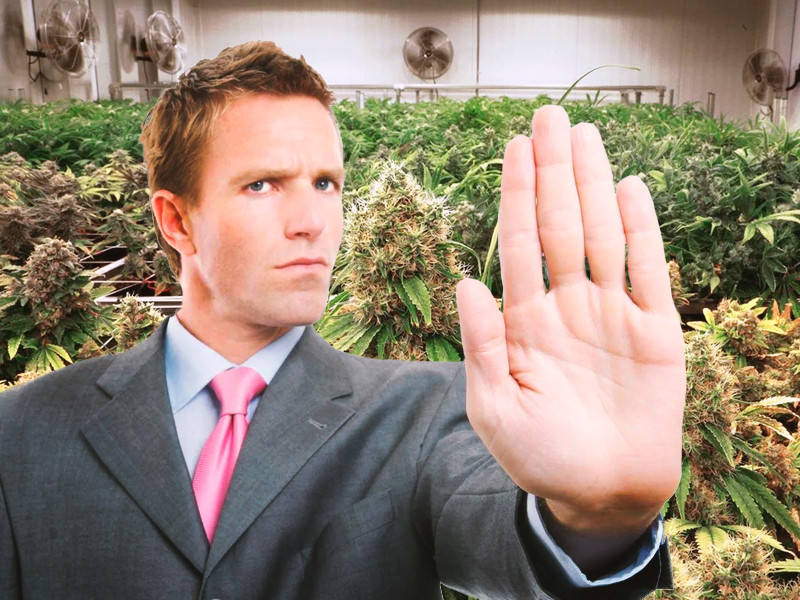 Автоцветы не подходят для клонирования Не стоит клонировать автоцветы