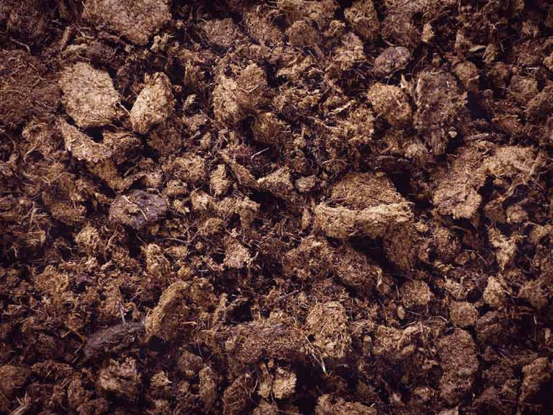 Торф - питательный субстрат для марихуаны Субстрат из торфа для конопли