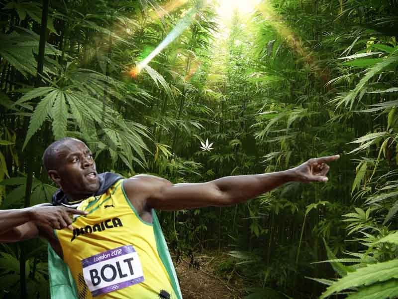 Как сочетается марихуана и занятия спортом Спорт и конопля