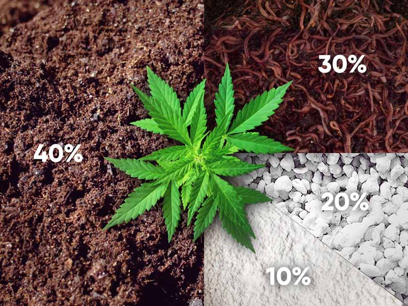 Питательный рецепт субстрата для конопли Третий рецепт приготовления почвосмеси