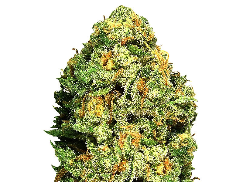 Фруктовый удар от сорта Fruit Punch fem Fruit Punch fem от Heawyweight Seeds