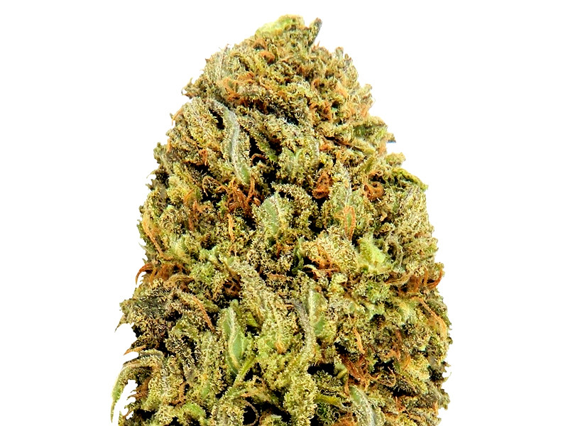 Сорт Fast & Vast auto от Heavyweight Seeds Fast & Vast auto