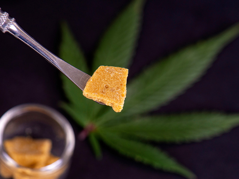 Три сорта конопли, которые отлично подходят для изготовления концентрата Способ употребления марихуаны