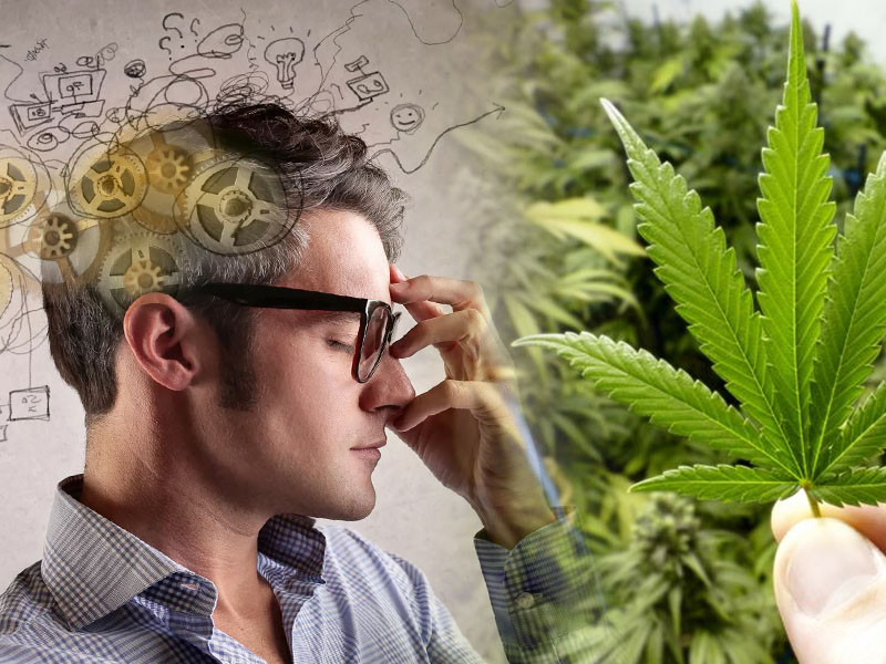 Есть ли преимущества в курении марихуаны Плюсы и минусы курения каннабиса