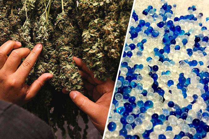 Сушка конопли с силикатным гелем Использование десикантов для конопли