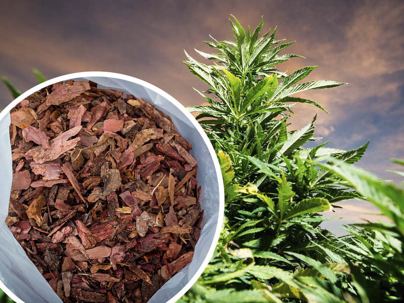 Древесная мульча для выращивания конопли Основа древесной мульчи