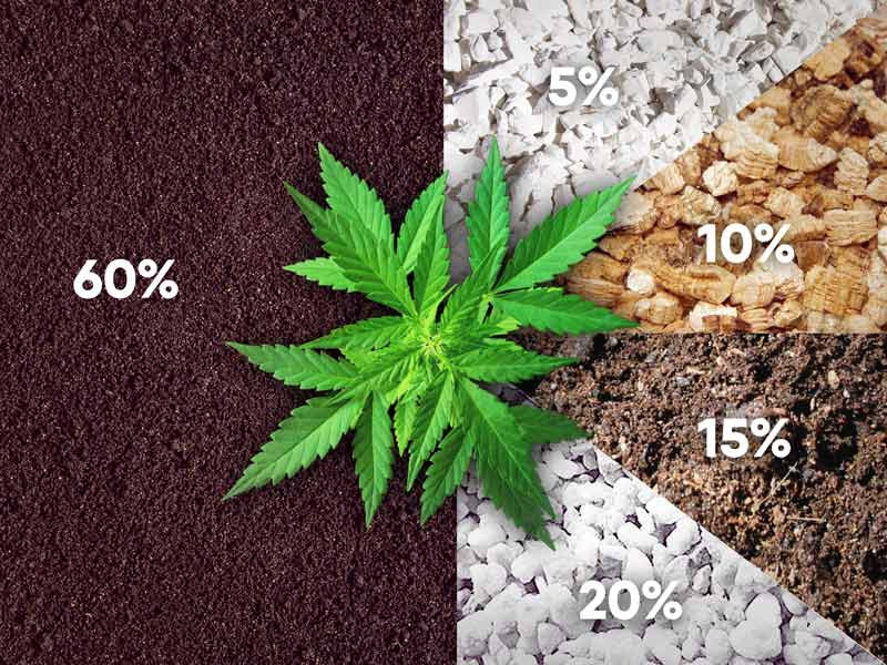Рецепт выращивания конопли Пятый рецепт приготовления почвосмеси