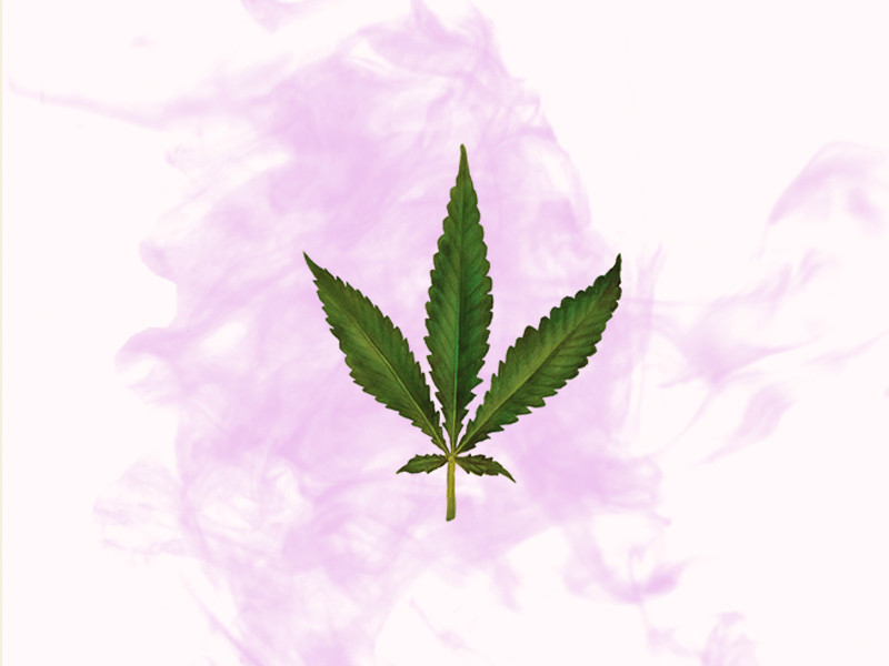 Лист у рудералиса Рудералис - дикая конопля