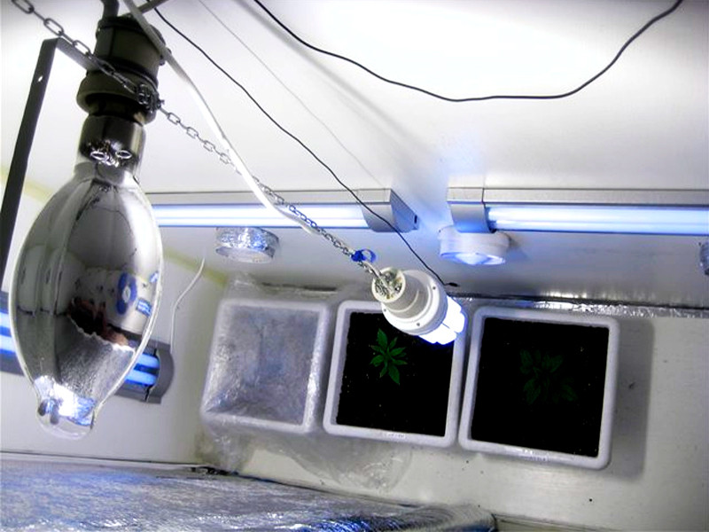 ДНаЗ - ДНаТ с зеркальным отражателем внутри лампы Лампа для конопли ДНаЗ со встроенным отражателем