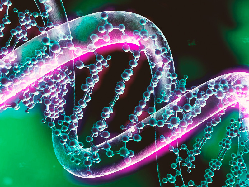 Генетическое преимущество роста автиков Наследственные преимущества в скорости роста у автоцветов